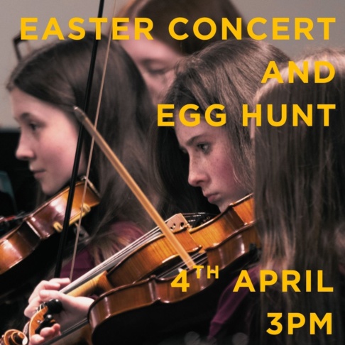 Yellow Blue Bold Minimalist Documentary Movie Poster 1